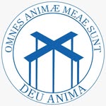 DEU ANIMA Instagram profile