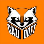 Gazi DOTT Instagram profile